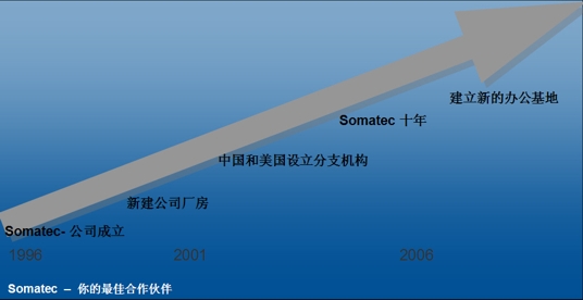 Diagram 10 years of Somatec